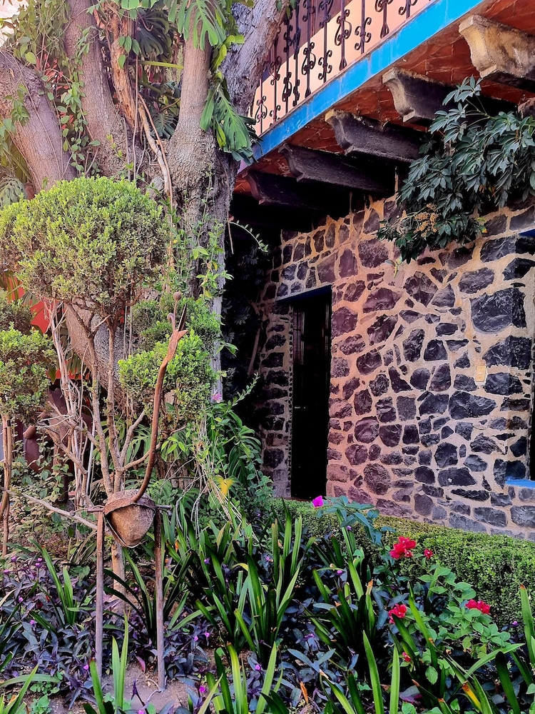 Hacienda de las Flores 3/50