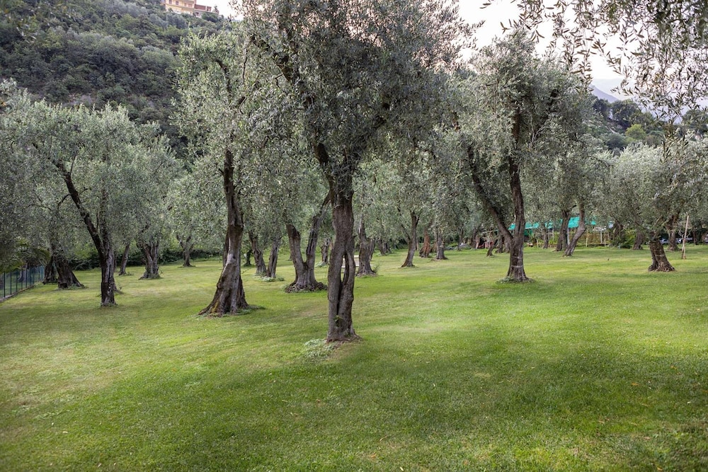Hotel Garni Orchidea 31/50