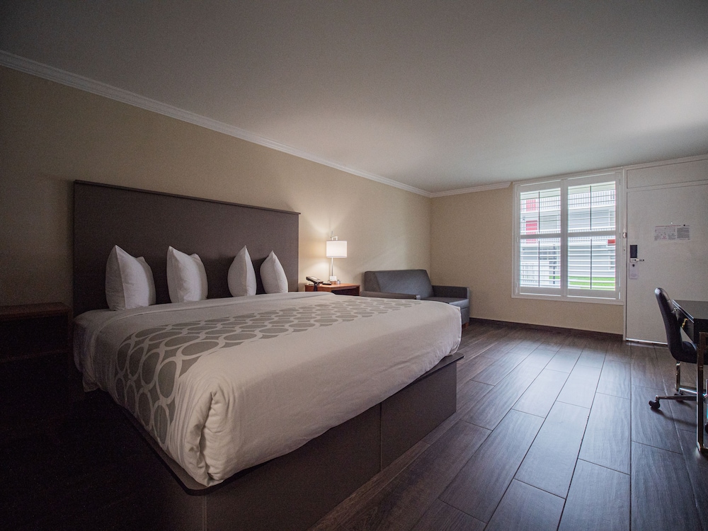 Equus Inn Ocala 9/56