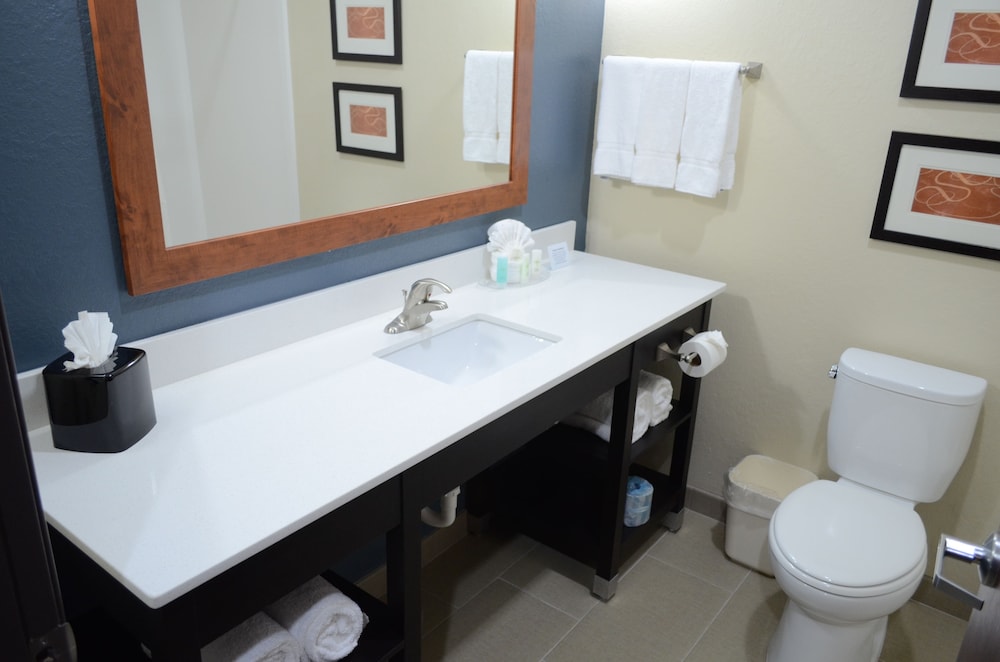 Comfort Suites Northwest - Cy - Fair 58/60
