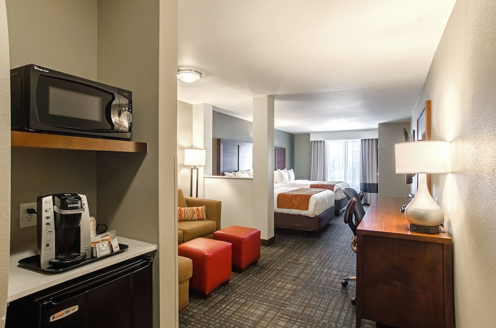 Comfort Suites Loveland 31/48