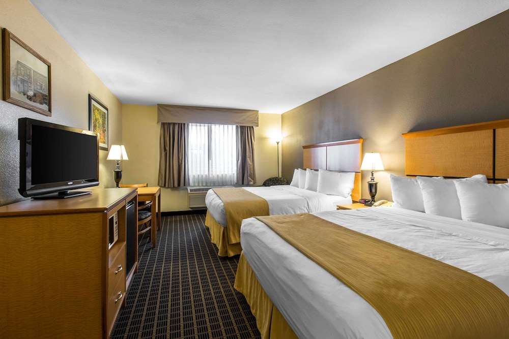 Suite, Twin Beds, King Bed, Sofa
