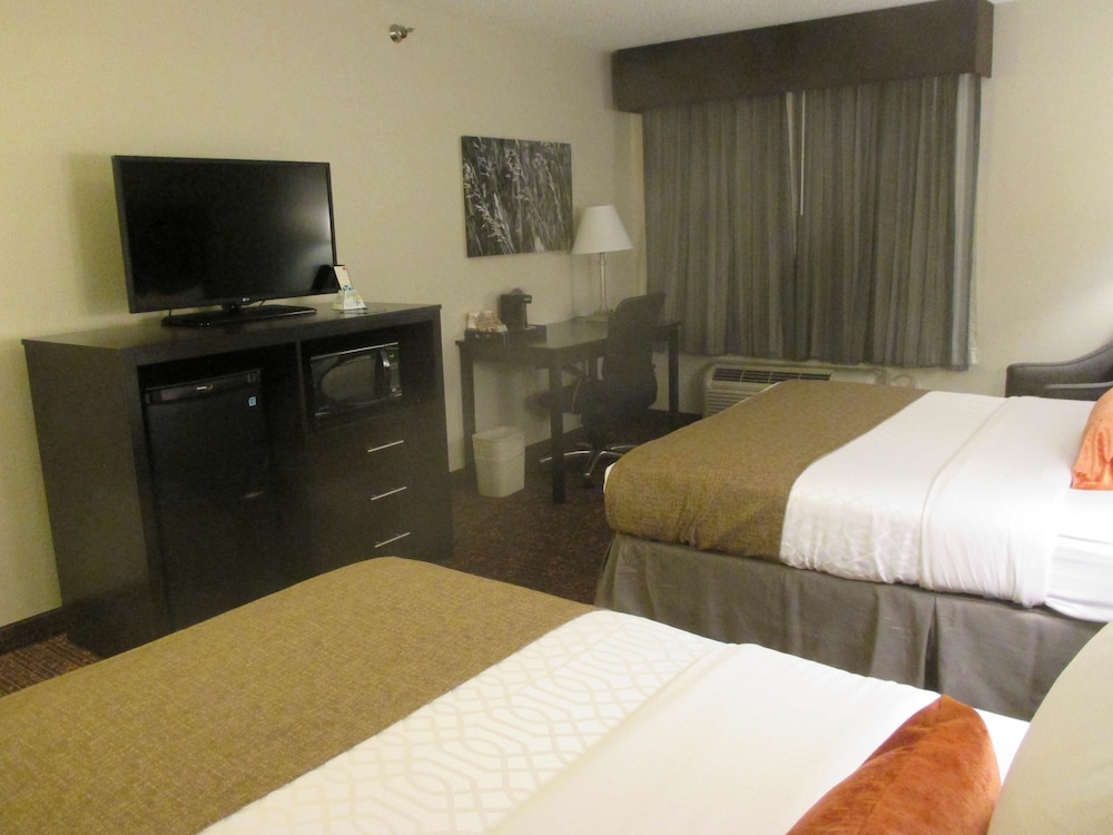 Best Western Plus Omaha Airport Inn 10/41