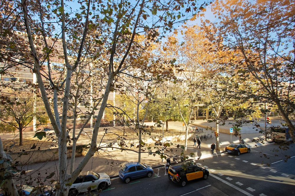 Barna House Hotel 35/50