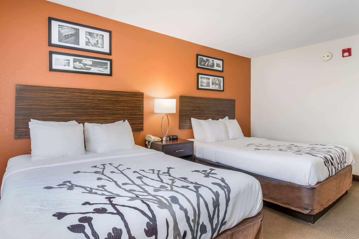 غرفة بسريرين كوين، Sleep Inn & Suites Ronks - Lancaster Area 2/5