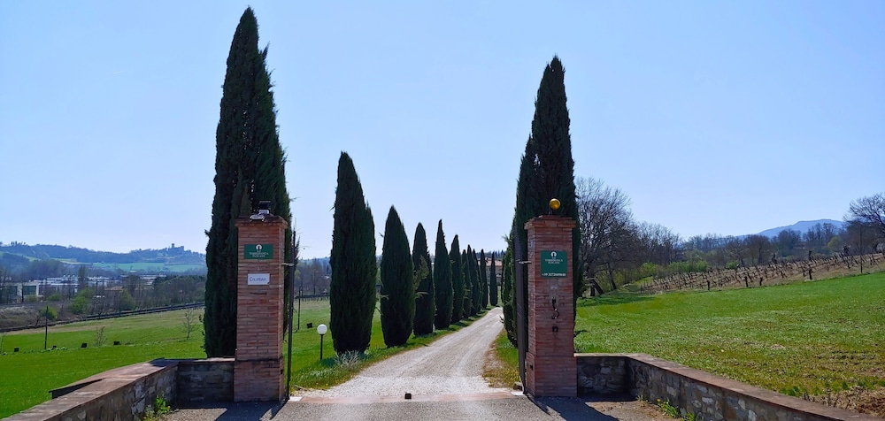 Torrebianca Tuscany 36/50