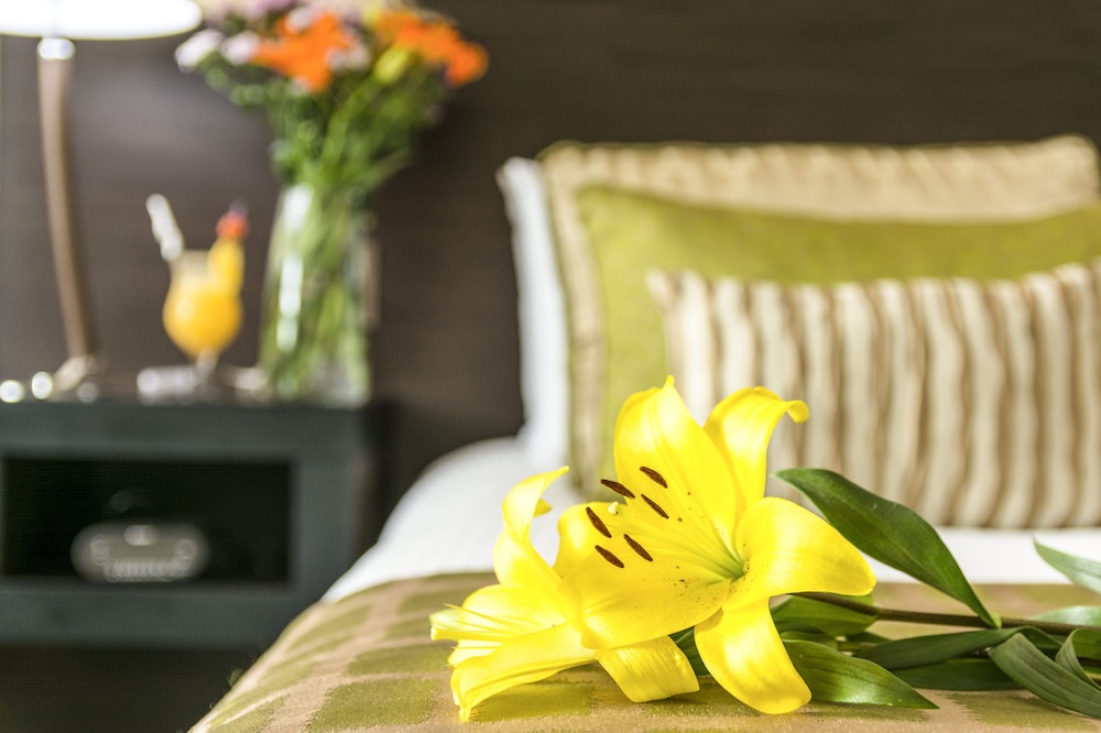 Studio Hotel Boutique 30/75