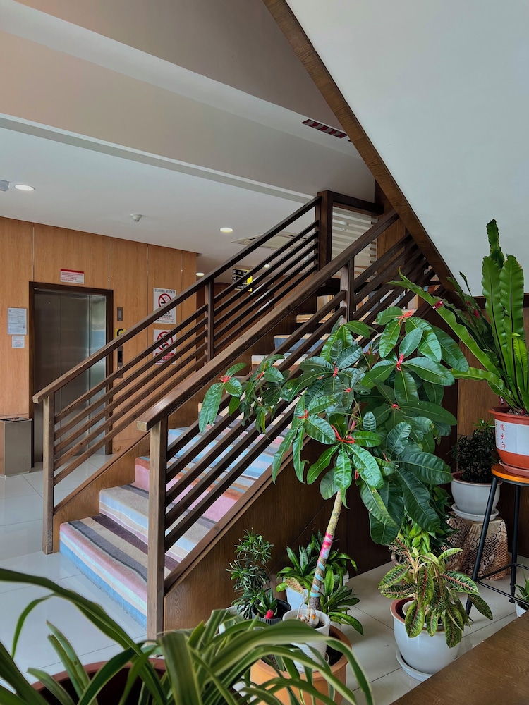 D Arc Hotel 5/50