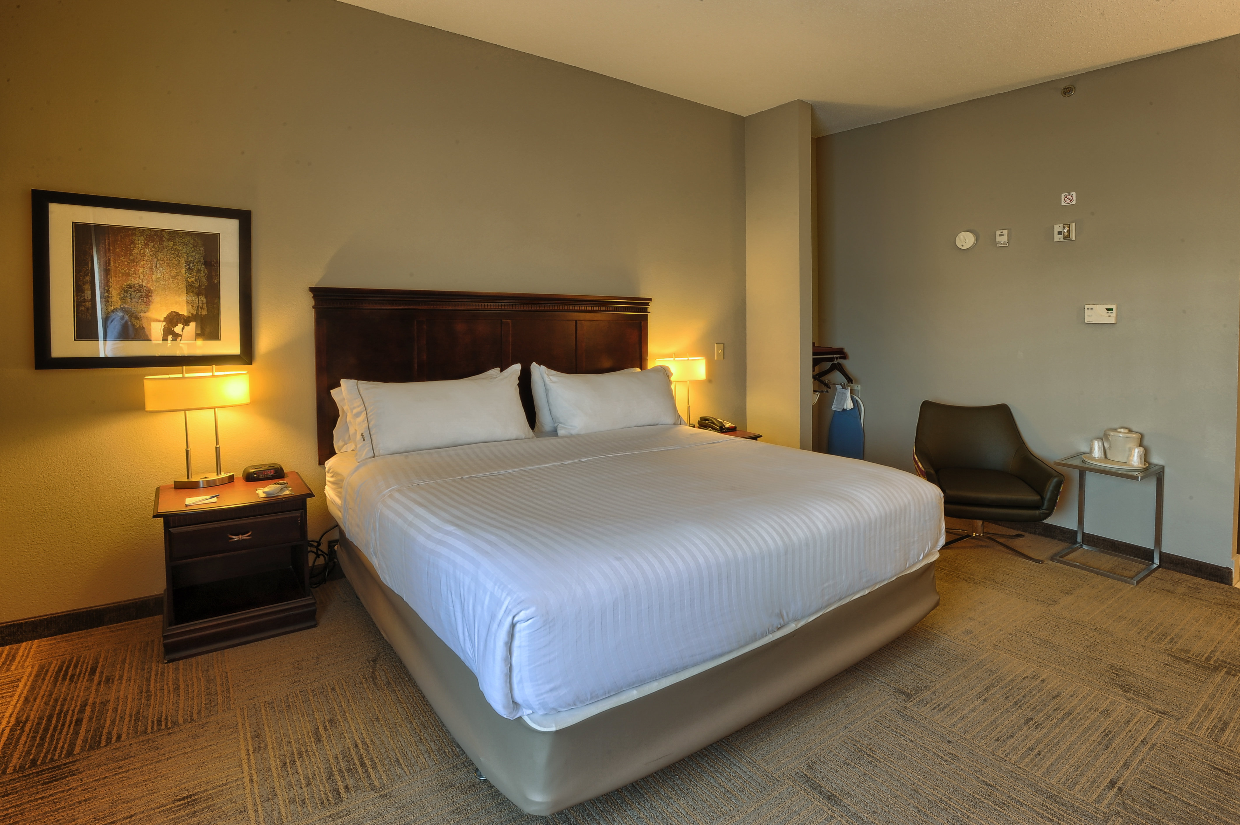 Holiday Inn Express Hotel Suites Pell City 20/71
