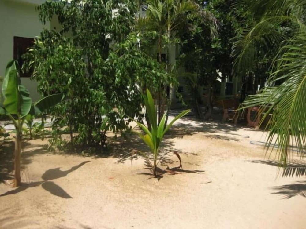Cocosand Hotel 12/41