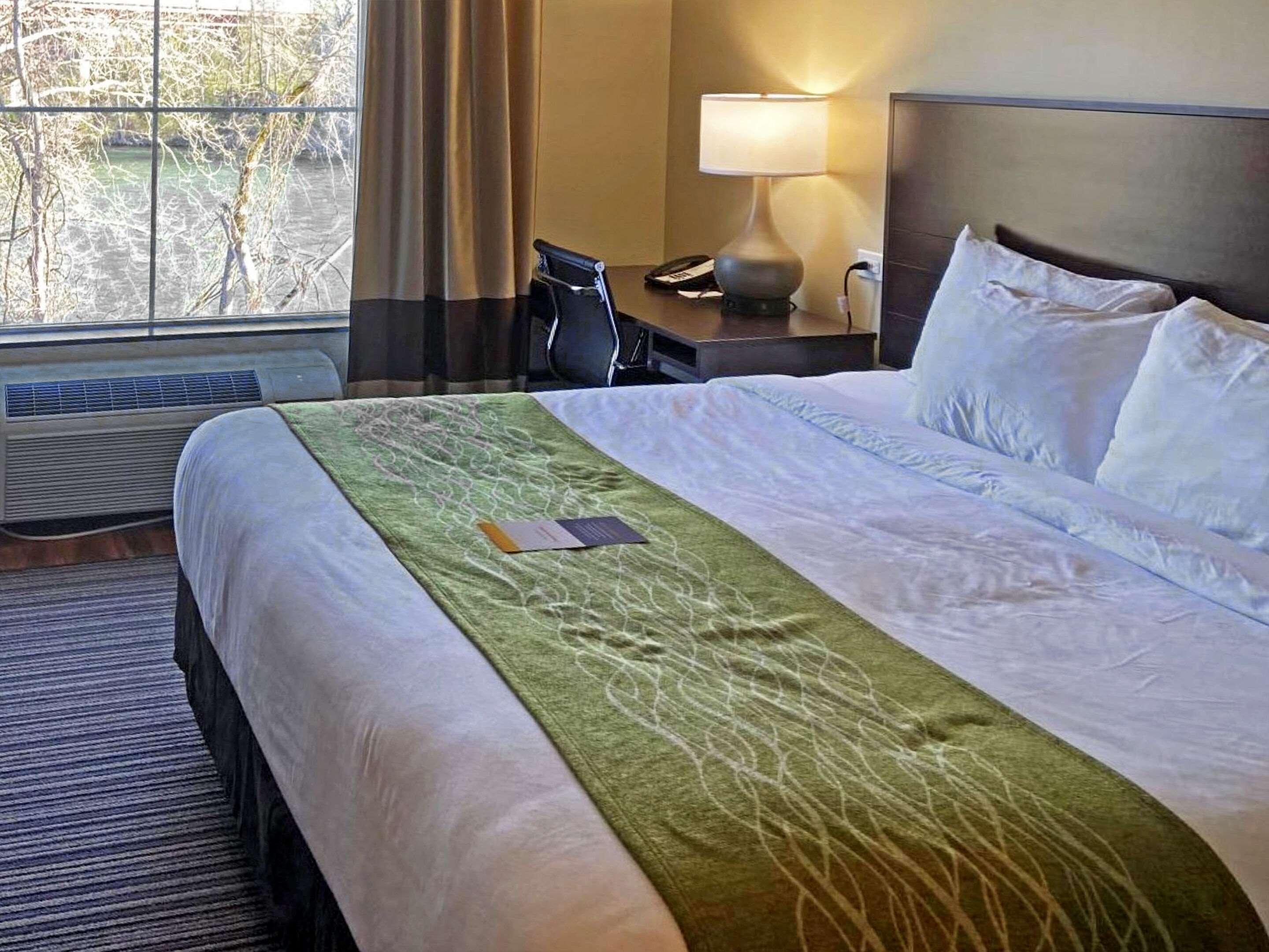 Room, Double Bed
