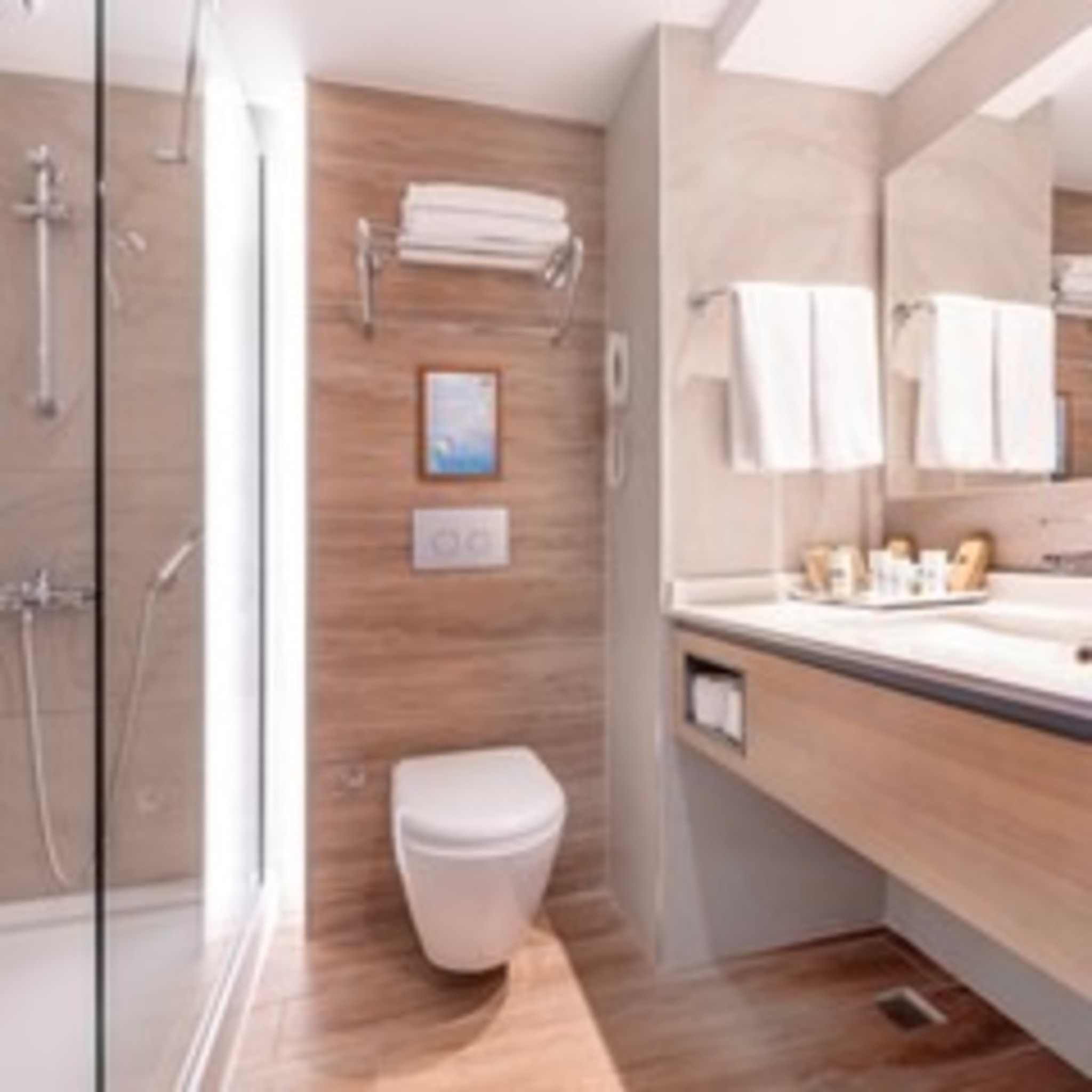 غرفة قياسية، Meryan Hotel 3/3