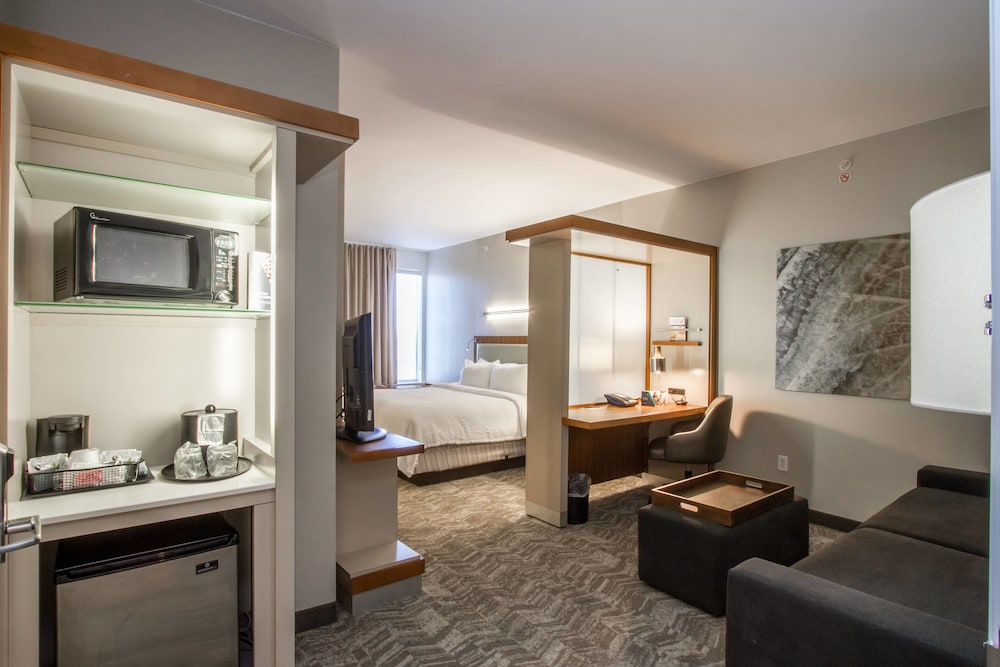 SpringHill Suites by Marriott San Angelo 48/50