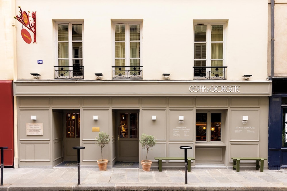 帕维隆卢浮宫瑞沃里酒店(Hotel La Dependance) 图片1