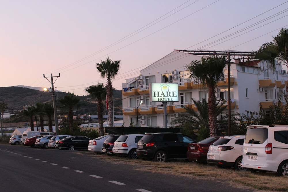 Hare Hotel 21/47