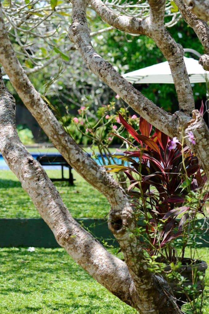 Hotel Warahena Walauwa 28/41
