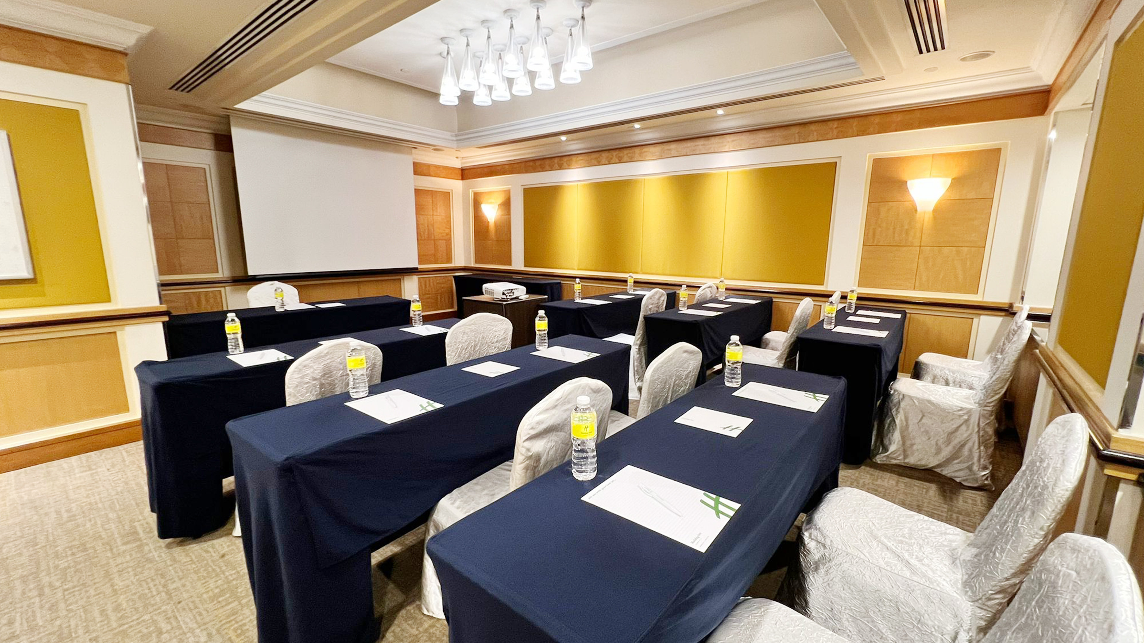 Holiday Inn Singapore Orchard City Centre 65/73