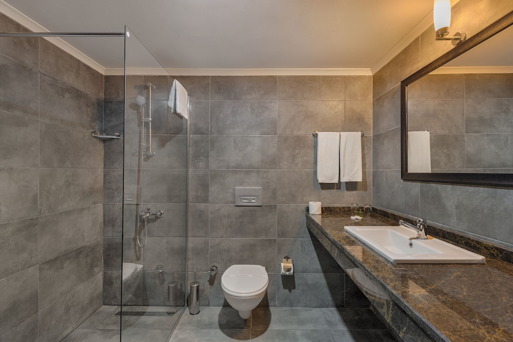 غرفة قياسية بسريرين منفصلين، SENZA Grand Santana Hotel 4/8