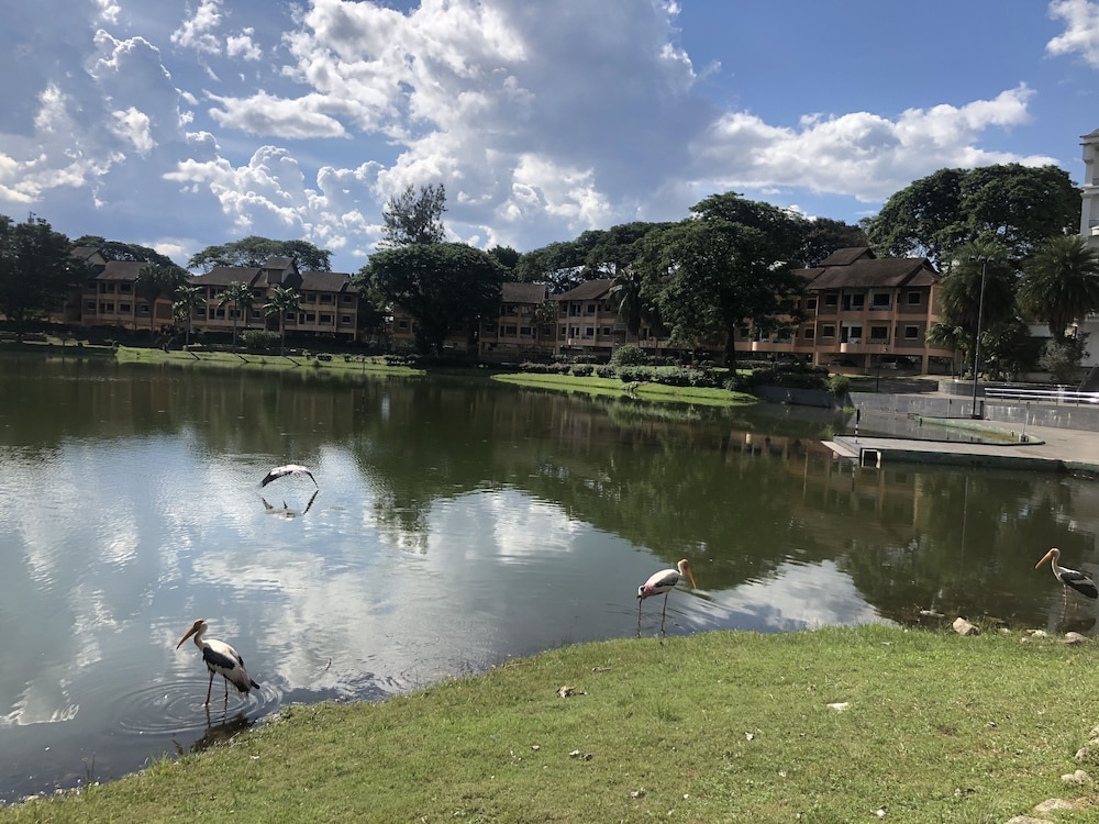 Flamingo Hotel by The Lake Kuala Lumpur 31/61