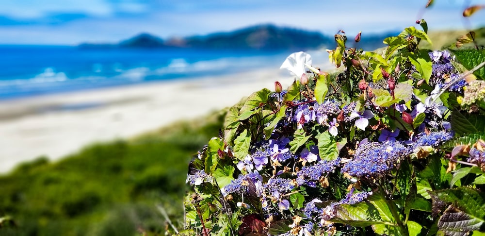 Nye Beach Condos At Pacific Crest 40/50