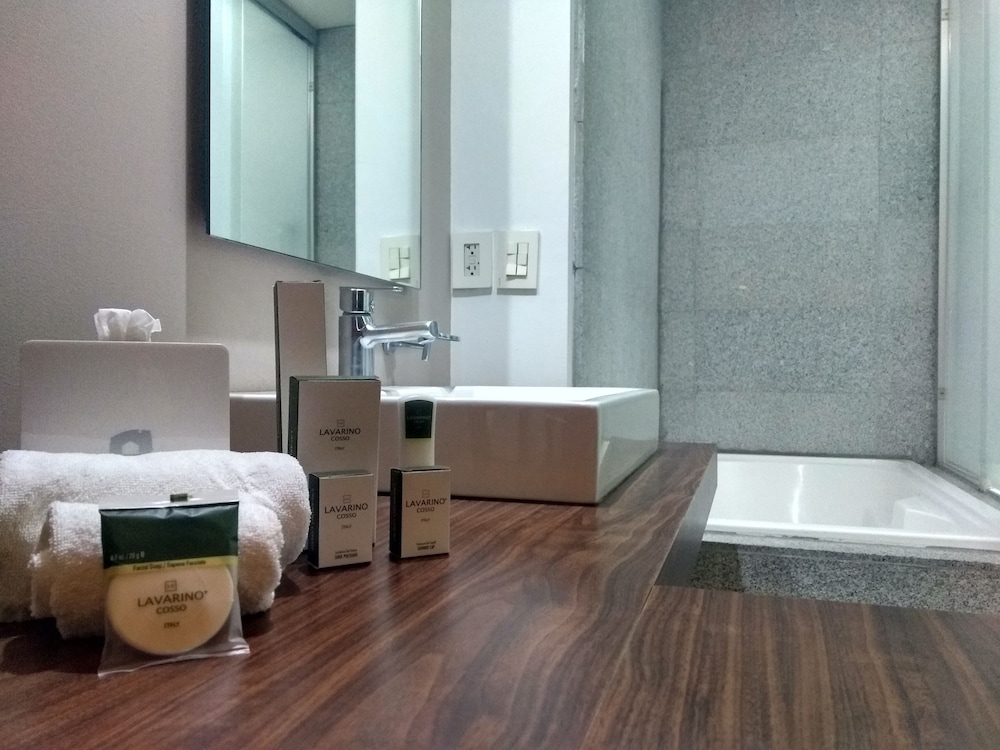 Casa Inn Premium Hotel Queretaro 11/42
