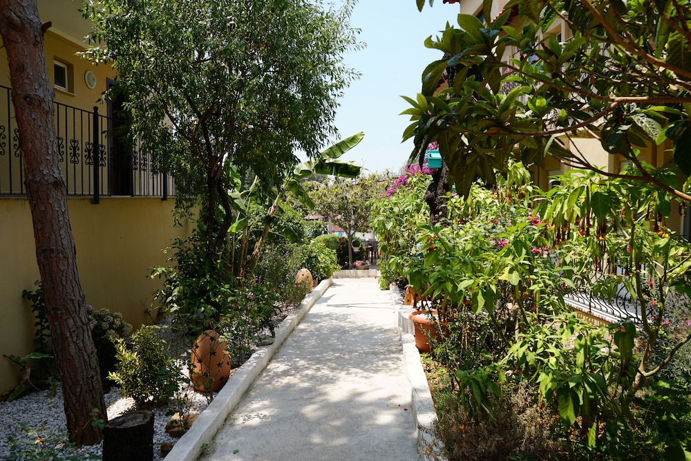 surroundings