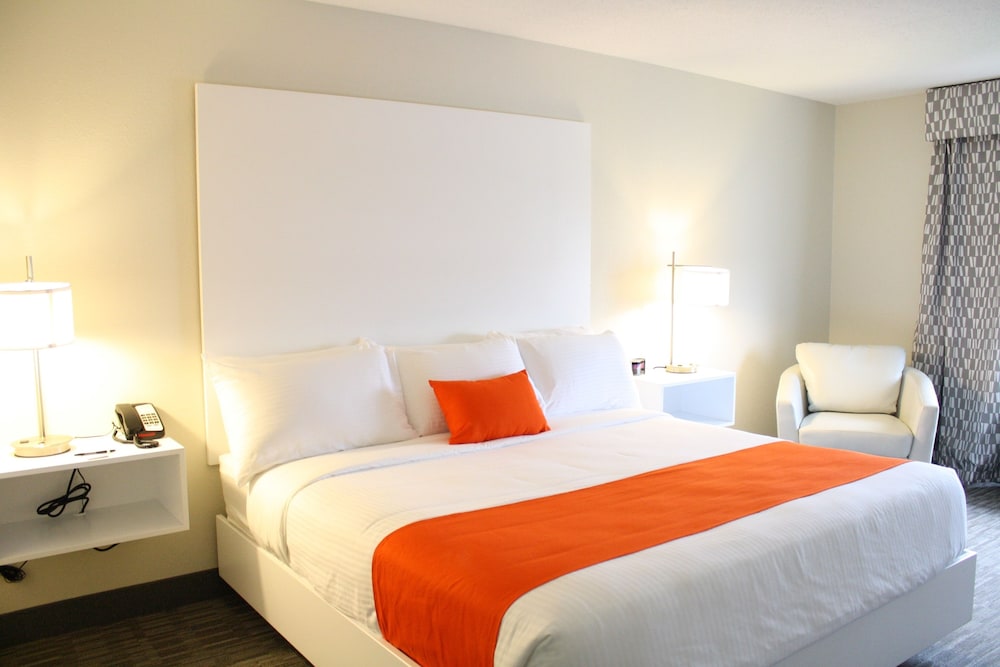 Room, King Bed