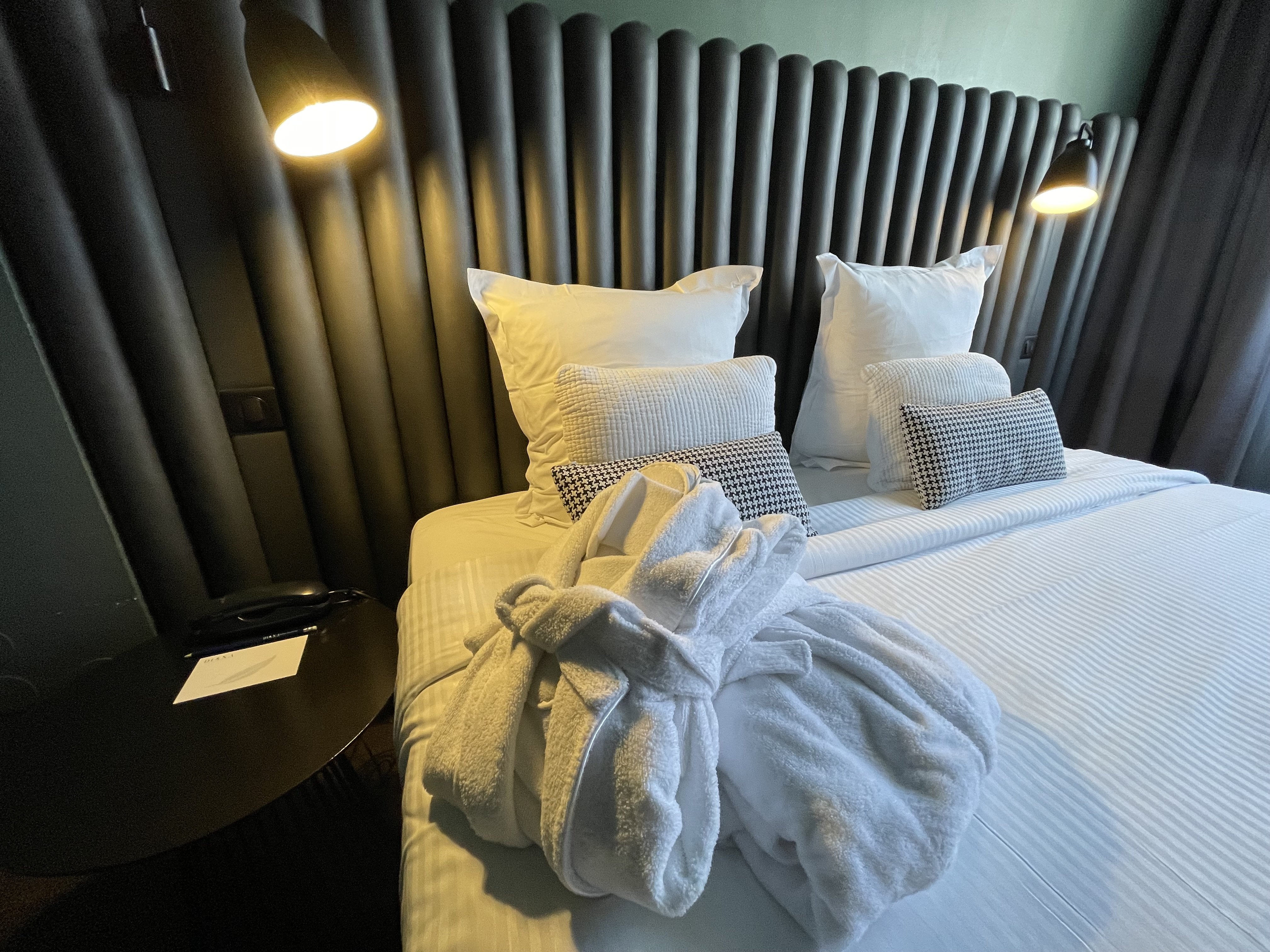 Hotel Diana Dauphine 28/56