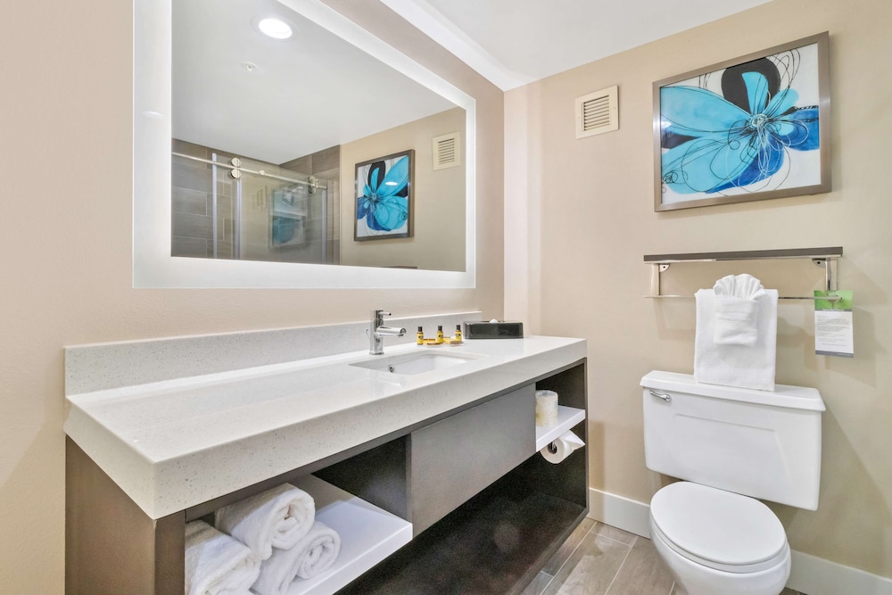 Best Western Plus Greenville I-385 Inn & Suites 21/53