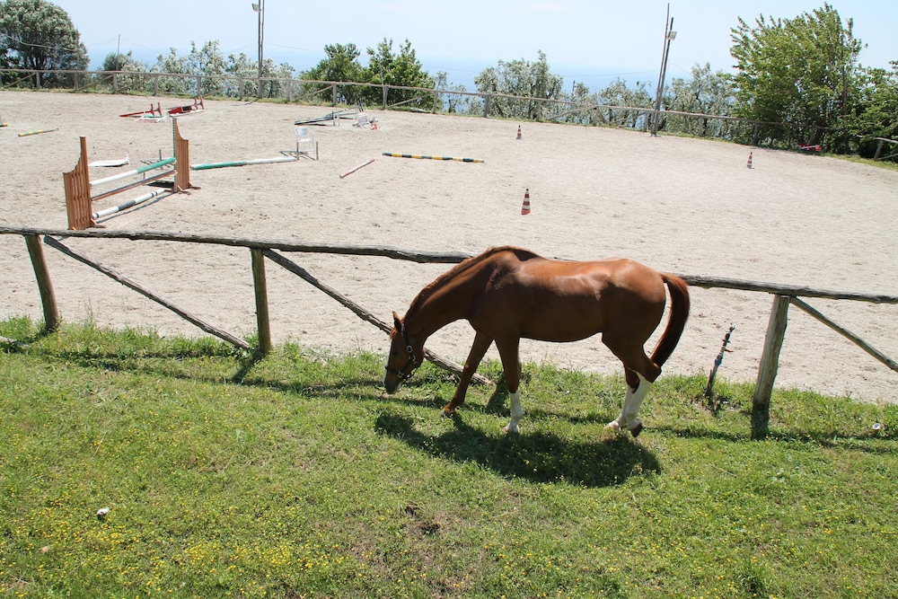 Agriturismo Piccolo Paradiso 49/74