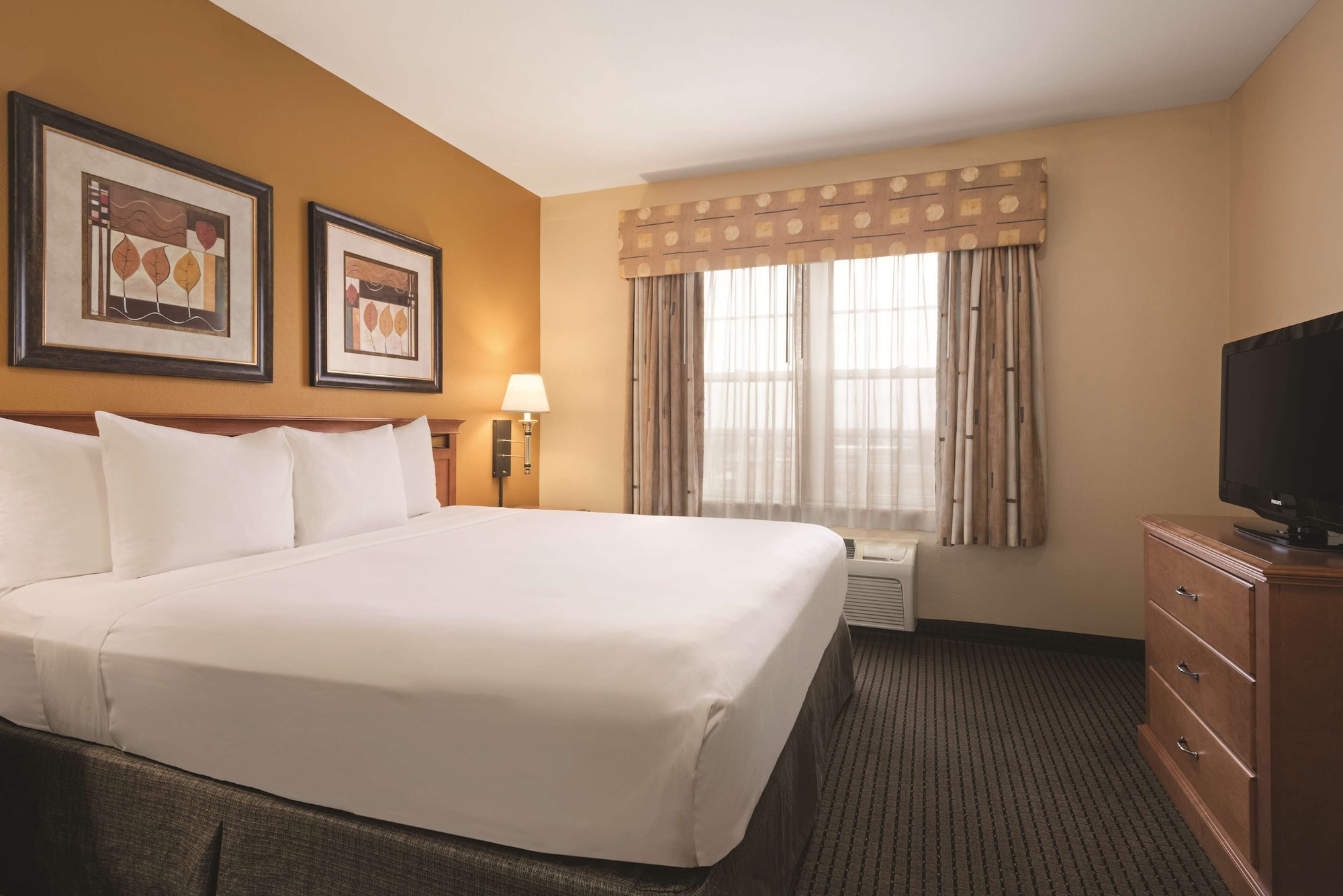 غرفة بسرير كينج لذوي الإعاقة، Country Inn & Suites By Radisson, Elk Grove Village/Itasca 3/9