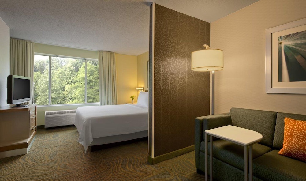Kings Inn And Suites Mason Ex Springhill Suites By Marriott Cincinnati Northeast 11/27