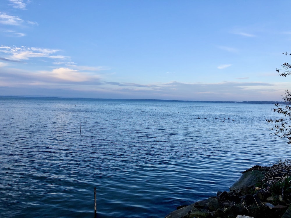 Royal Mediterran Hotel 32/50
