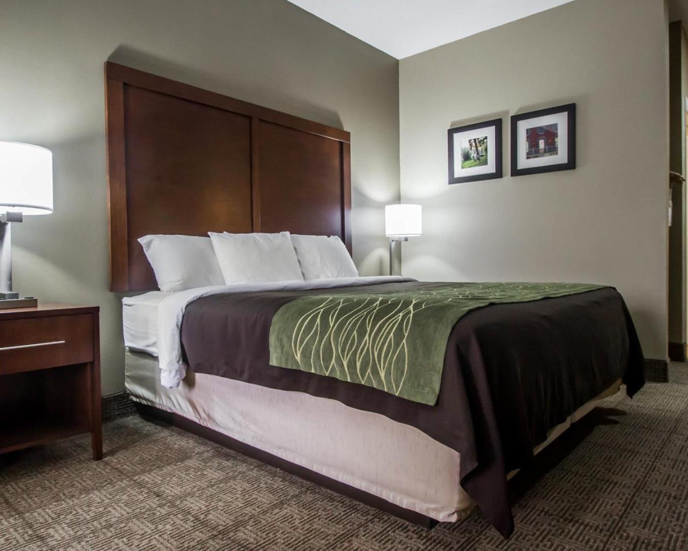 غرفة بسرير كينج لذوي الإعاقة، Comfort Inn Amite City 6/6