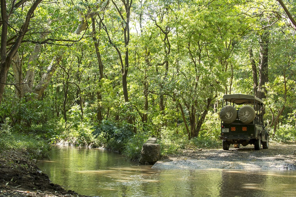 Lake Manyara Serena Safari Lodge 47/62