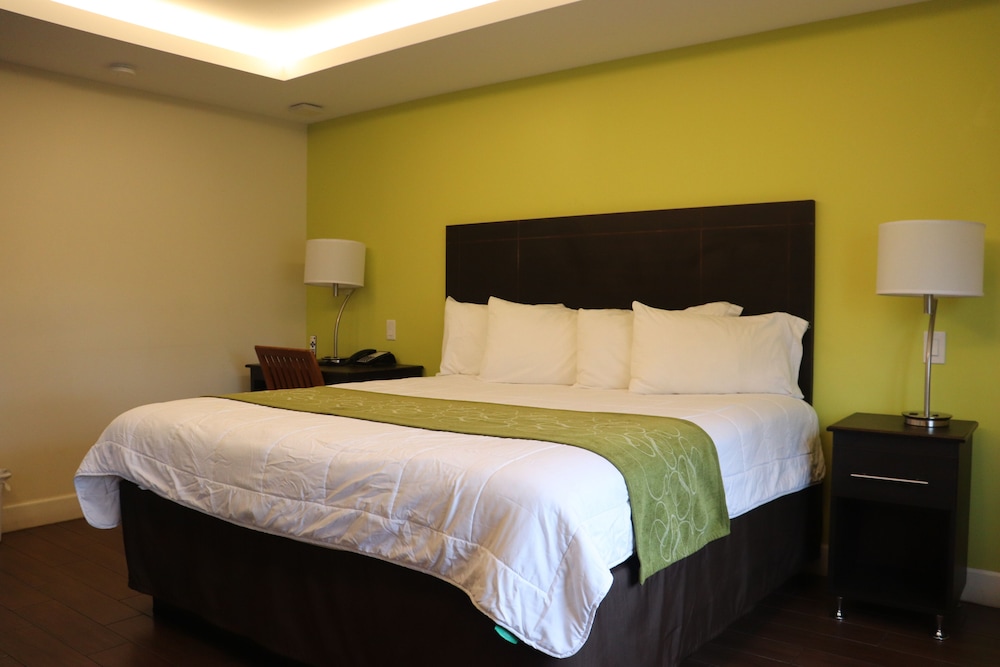 Curtis Inn & Suites 12/31
