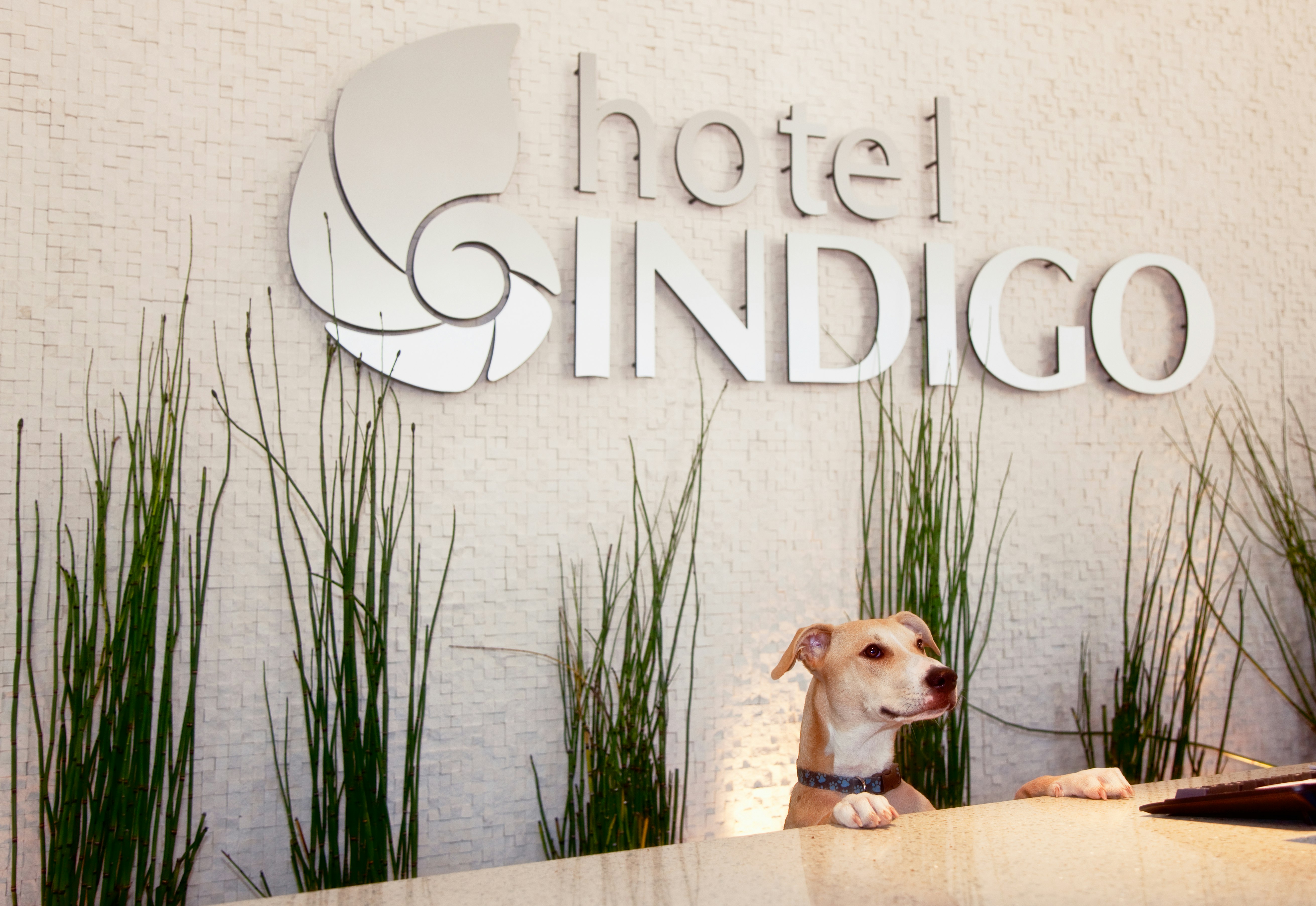 Hotel Indigo San Diego Gaslamp Quarter 13/80