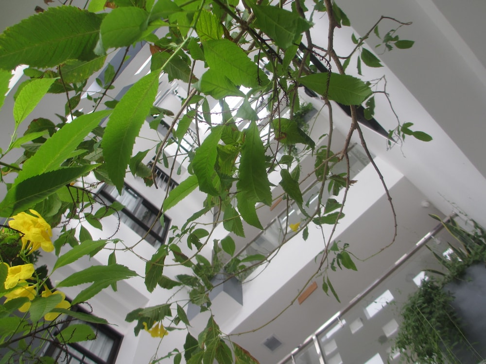 Ale Nha Trang Hotel 48/70