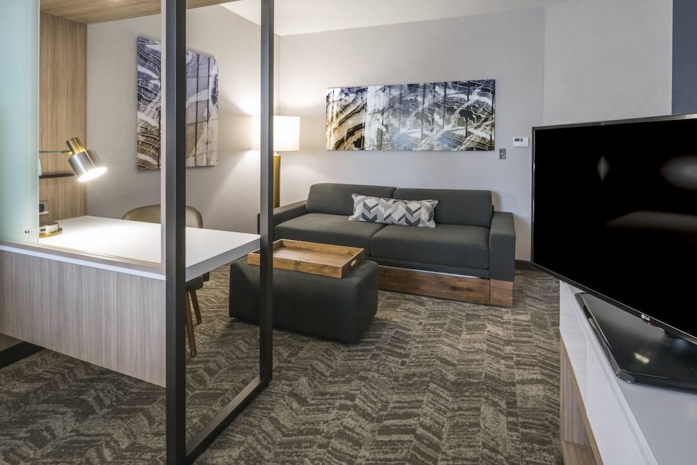 Springhill Suites Fishkill 31/56