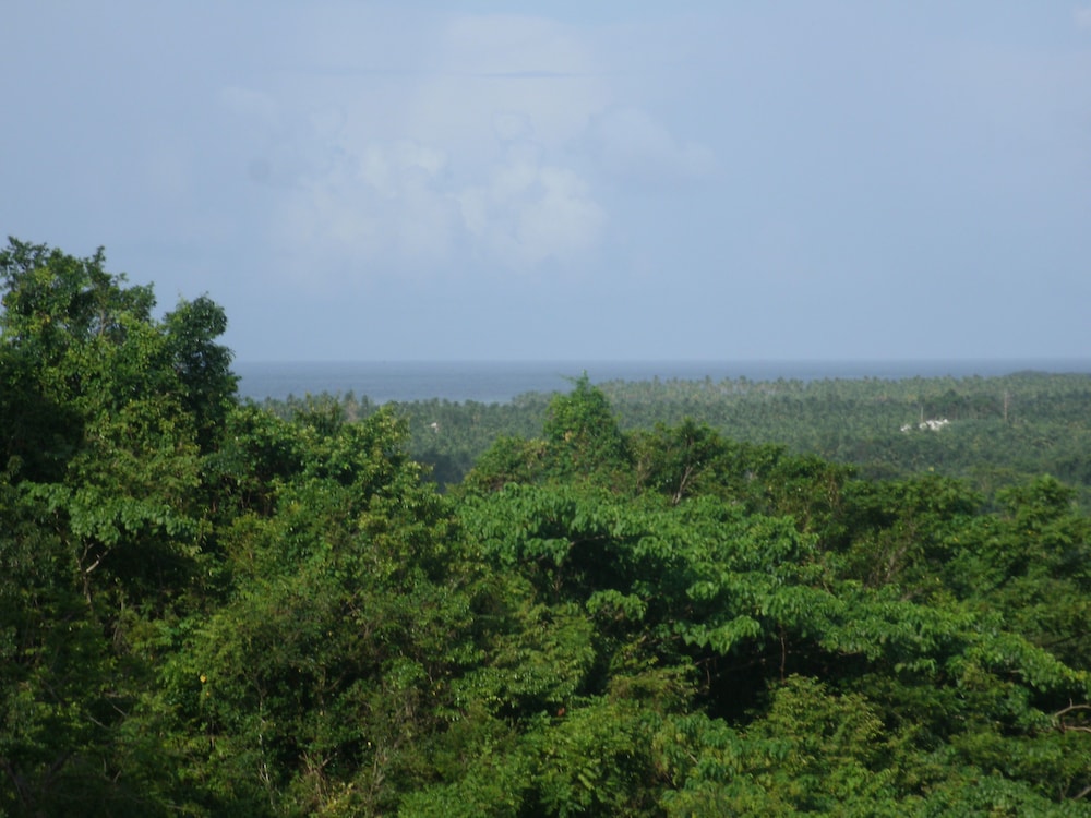 Clave Verde Ecolodge 69/74