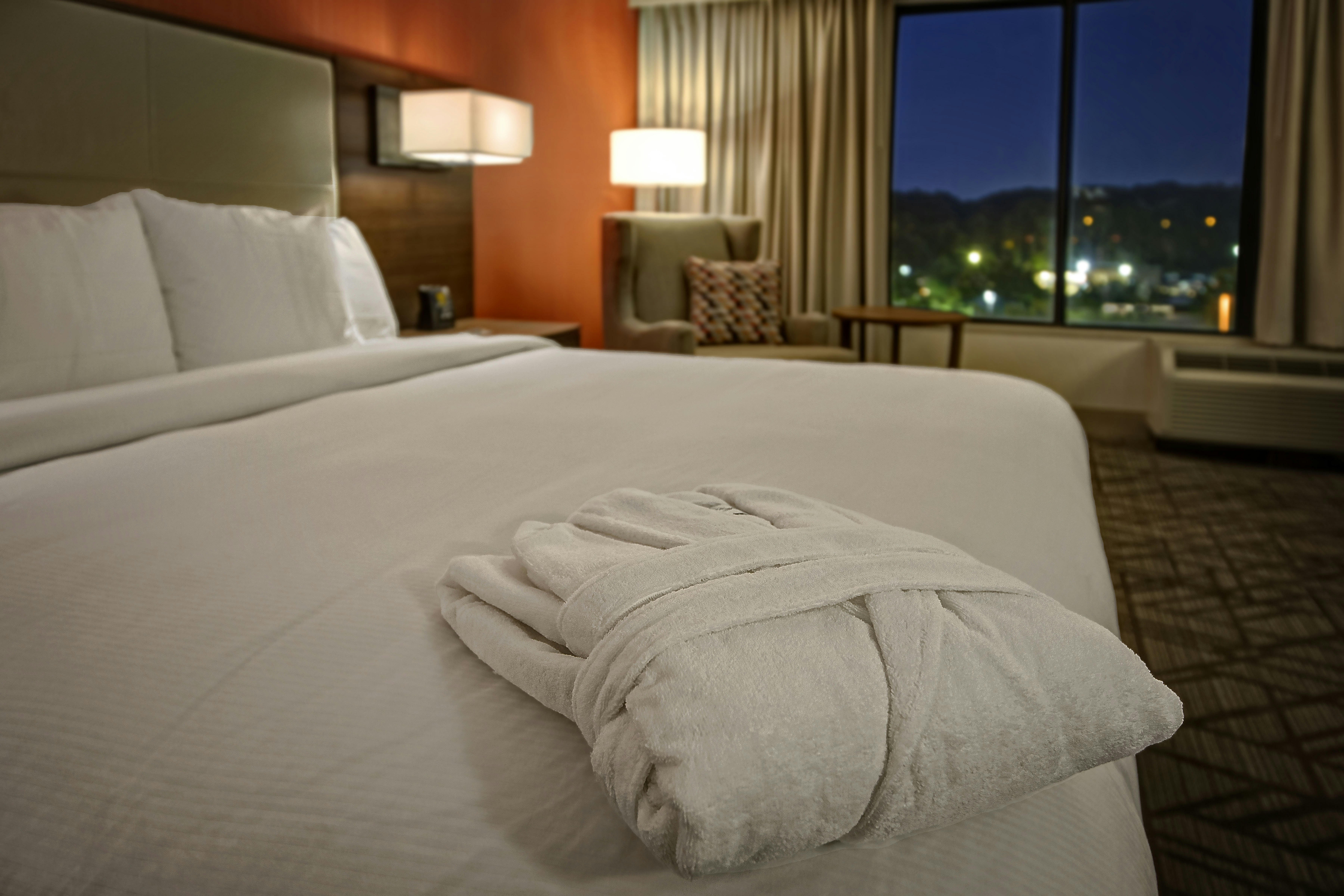 Hilton Knoxville Airport 25/81