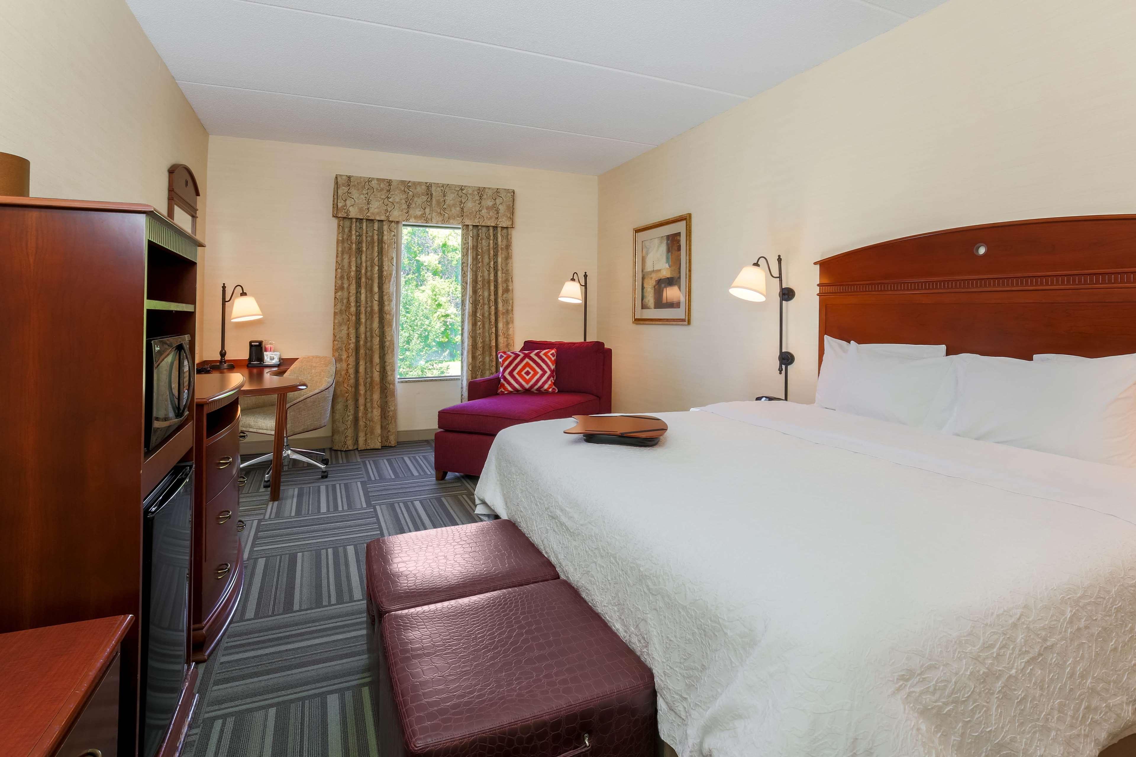 Room, King Bed