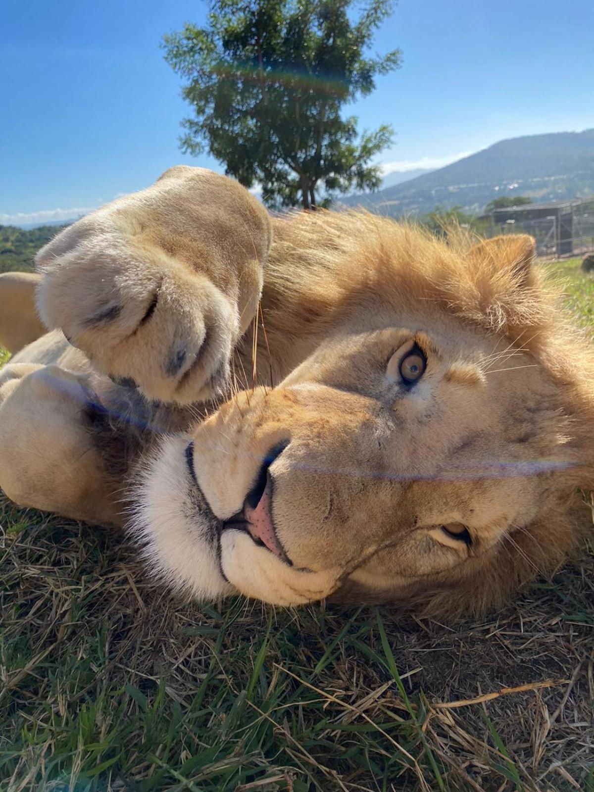 Pumbaa Wildlife Park and Accommodation 37/38