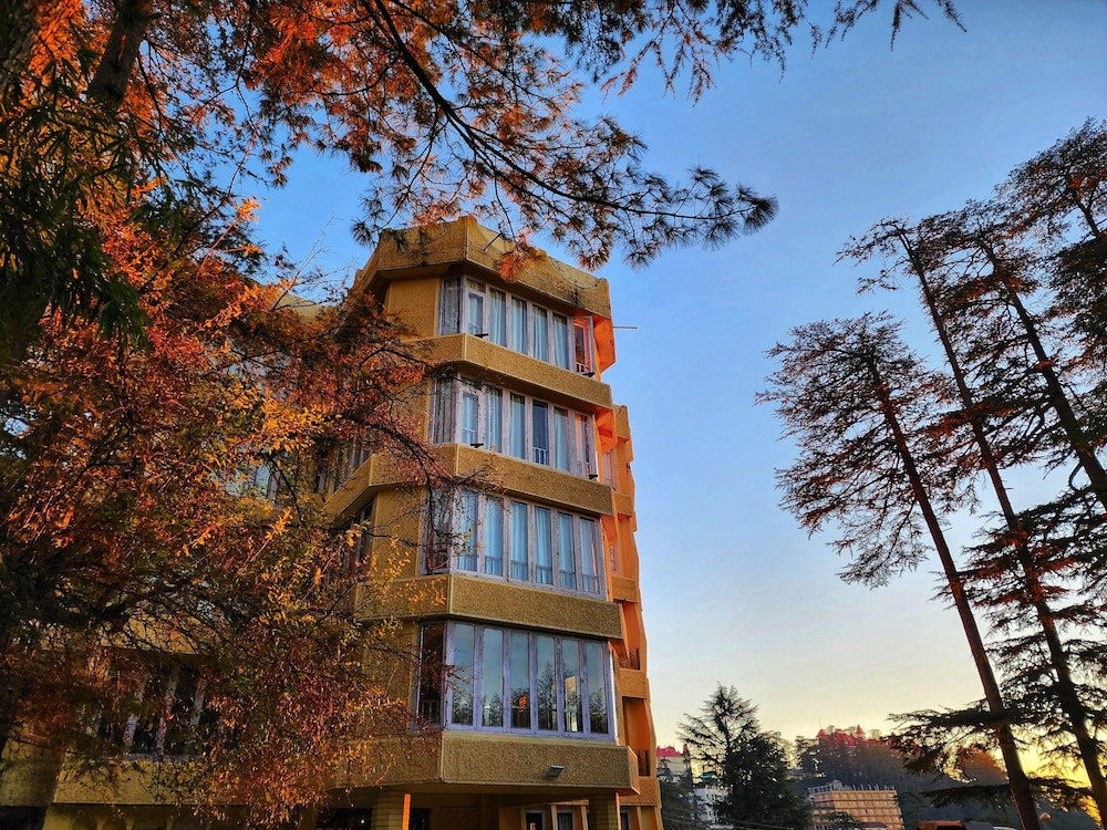 Hotel Pine View ( Pure Vegetarian ) 1/50