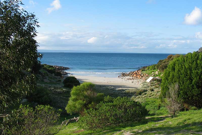 SEA DRAGON LODGE 50/55
