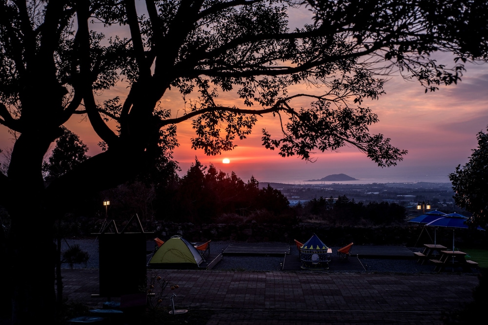 Jeju Nollmung 37/50