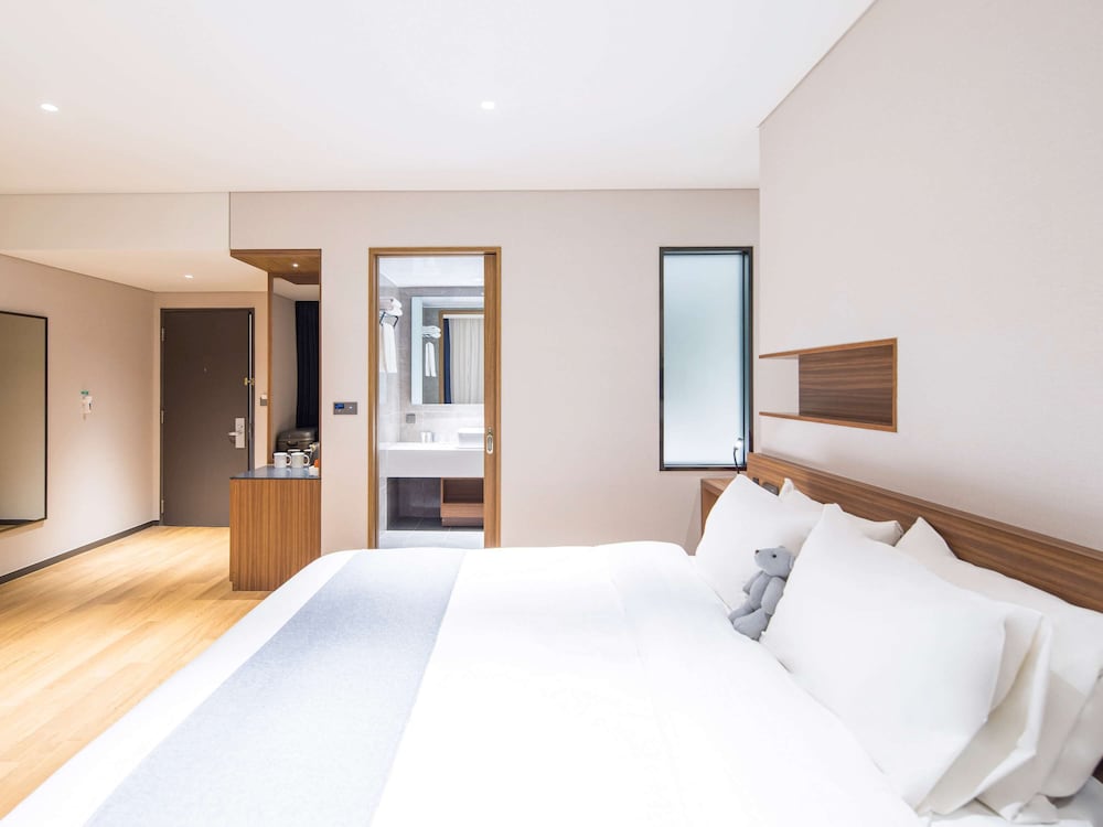 Ibis Ambassador Suwon 14/50