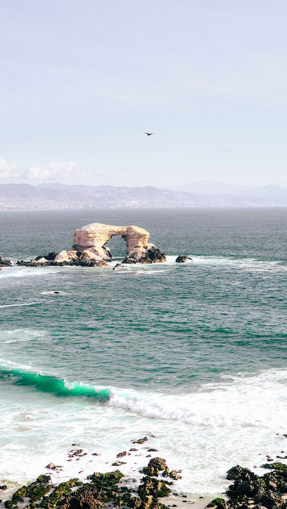 Ibis Antofagasta 45/48
