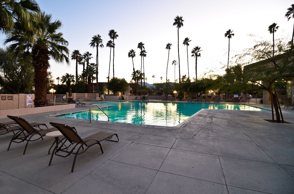 Best Western Date Tree Hotel 8/49