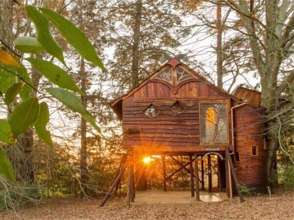 Sycamore Avenue Treehouses 39/50